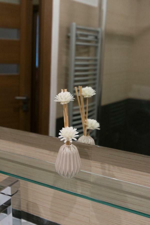 Spacious Apartment Near Wenceslas Square プラハ エクステリア 写真