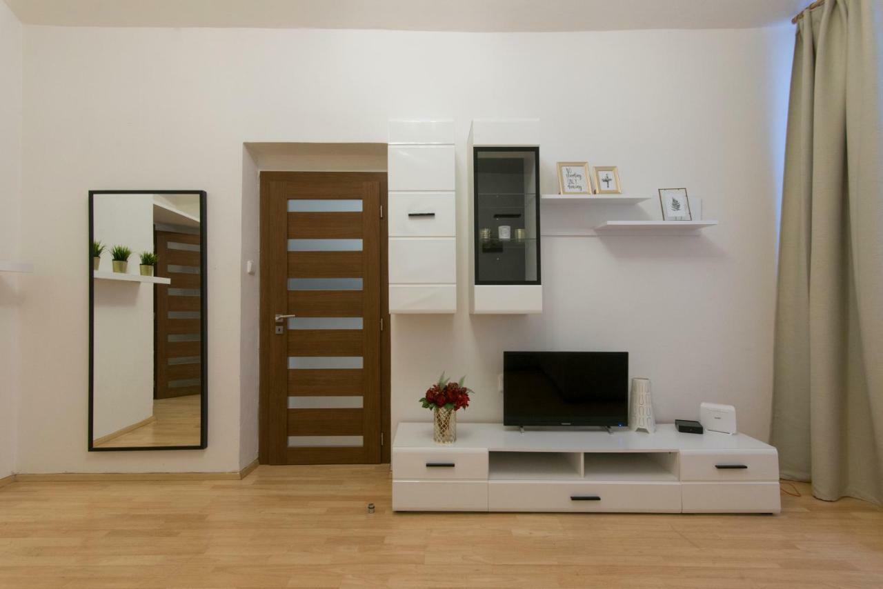 Spacious Apartment Near Wenceslas Square プラハ エクステリア 写真