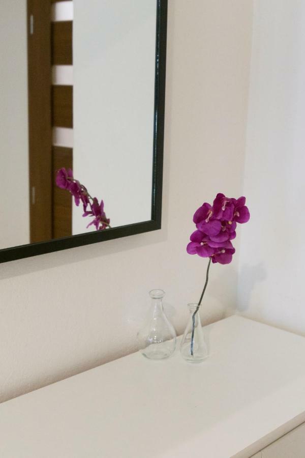 Spacious Apartment Near Wenceslas Square プラハ エクステリア 写真